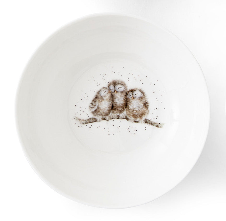 Royal Worcester Wrendale Designs Porzellan Müslischale mit herbstlichem Eulen-Motiv