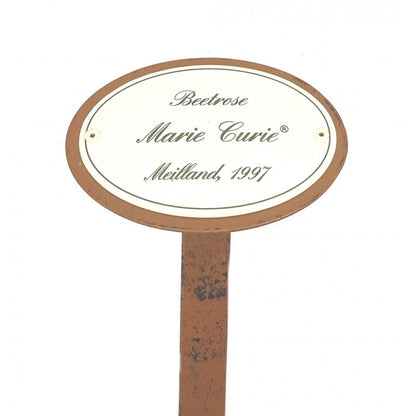 Rosenschild Emaille Marie Curie
