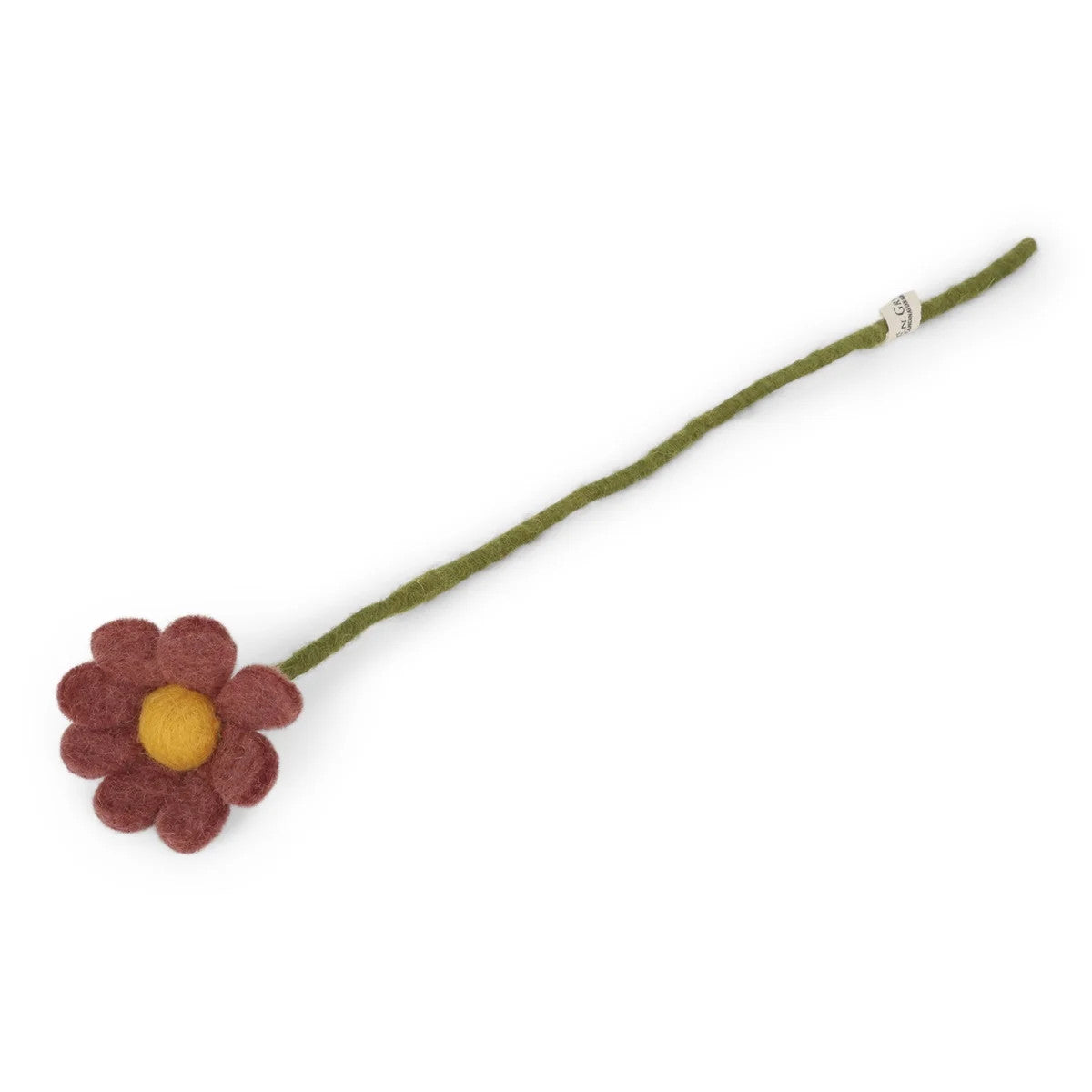 Gry &amp; Sif Anemone Rot