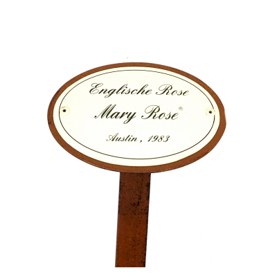 Rosenschild Emaille Mary Rose