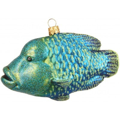 Weihnachtskugel Napoleon-Lippfisch