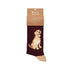 Wrendale Designs Bambussocken für Herren mit retriever-Motiv auf weißem Hintergrund.