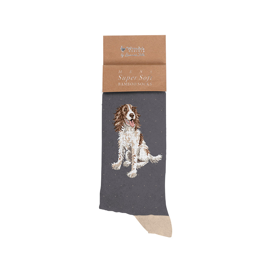 Wrendale Designs Bambussocken für Herren mit Pointer-Motiv auf weißem Hintergrund.