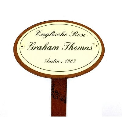 Rosenschild Emaille Graham Thomas