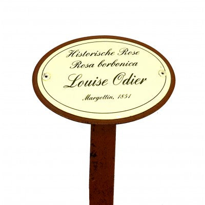Rosenschild Emaille Louise Odier