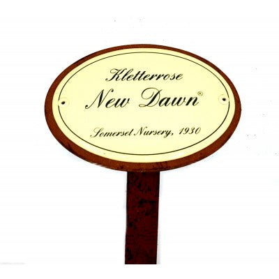 Rosenschild Emaille New Dawn