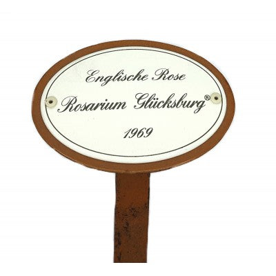 Emailleschild fuer Englische Rose Rosarium Glücksburg 1969