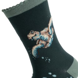 Motivsocken - Schildkröte - Wrendale Designs - Damensocken - 37-42