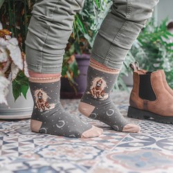 Motivsocken - Pony - Wrendale Designs - Damensocken - 37-42 Motivsocken - Pony - Wrendale Designs - Damensocken - 37-42