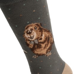 Motivsocken - Biber- Wrendale Designs - Herrensocken - 41-46 Motivsocken - Biber- Wrendale Designs - Herrensocken - 41-46