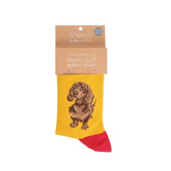 Motivsocken - Dackel - Wrendale Designs - Kindersocke - 27-31 Motivsocken - Dackel - Wrendale Designs - Kindersocke - 27-31