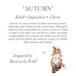 Wrendale Design - Kuscheltier - Fuchs Autumn Wrendale Design - Kuscheltier - Fuchs Autumn
