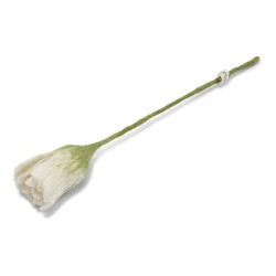 Gry & Sif Tulpe, Weiß