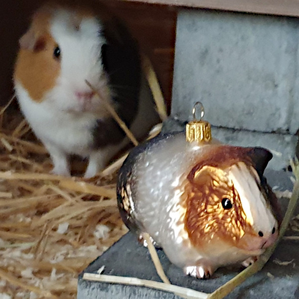 Meerschweinchen Christbaumschmuck Glasfigur mundgeblasen handbemalt Gartenschaetze