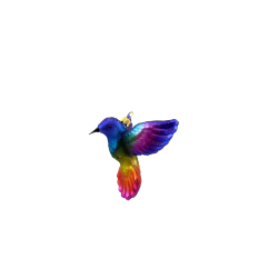 Christbaumschmuck - Hanco - Kolibri